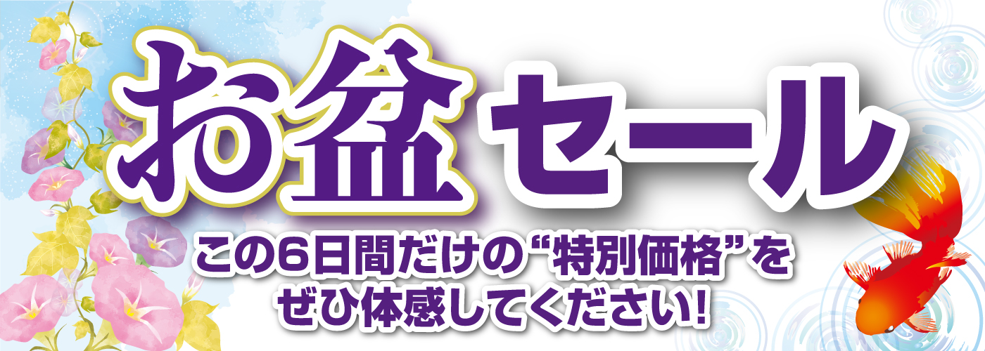 homepage bunner 3