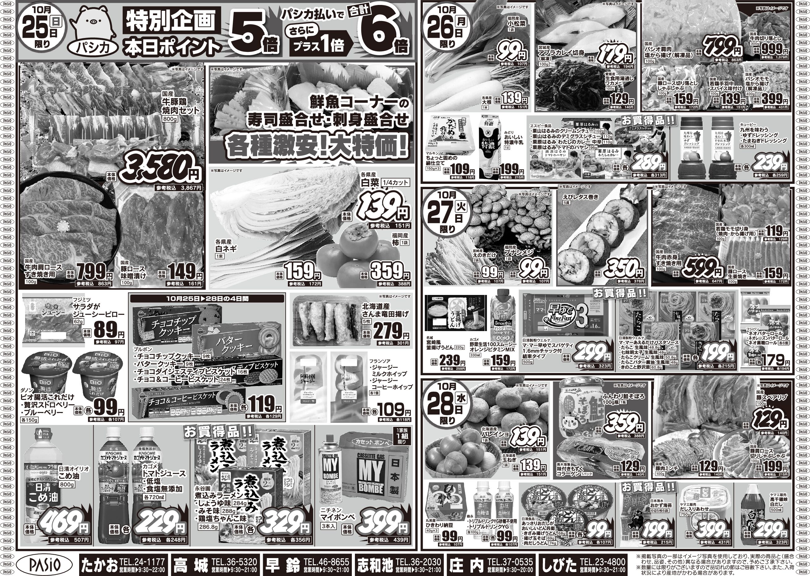 pasio10 22u pdf
