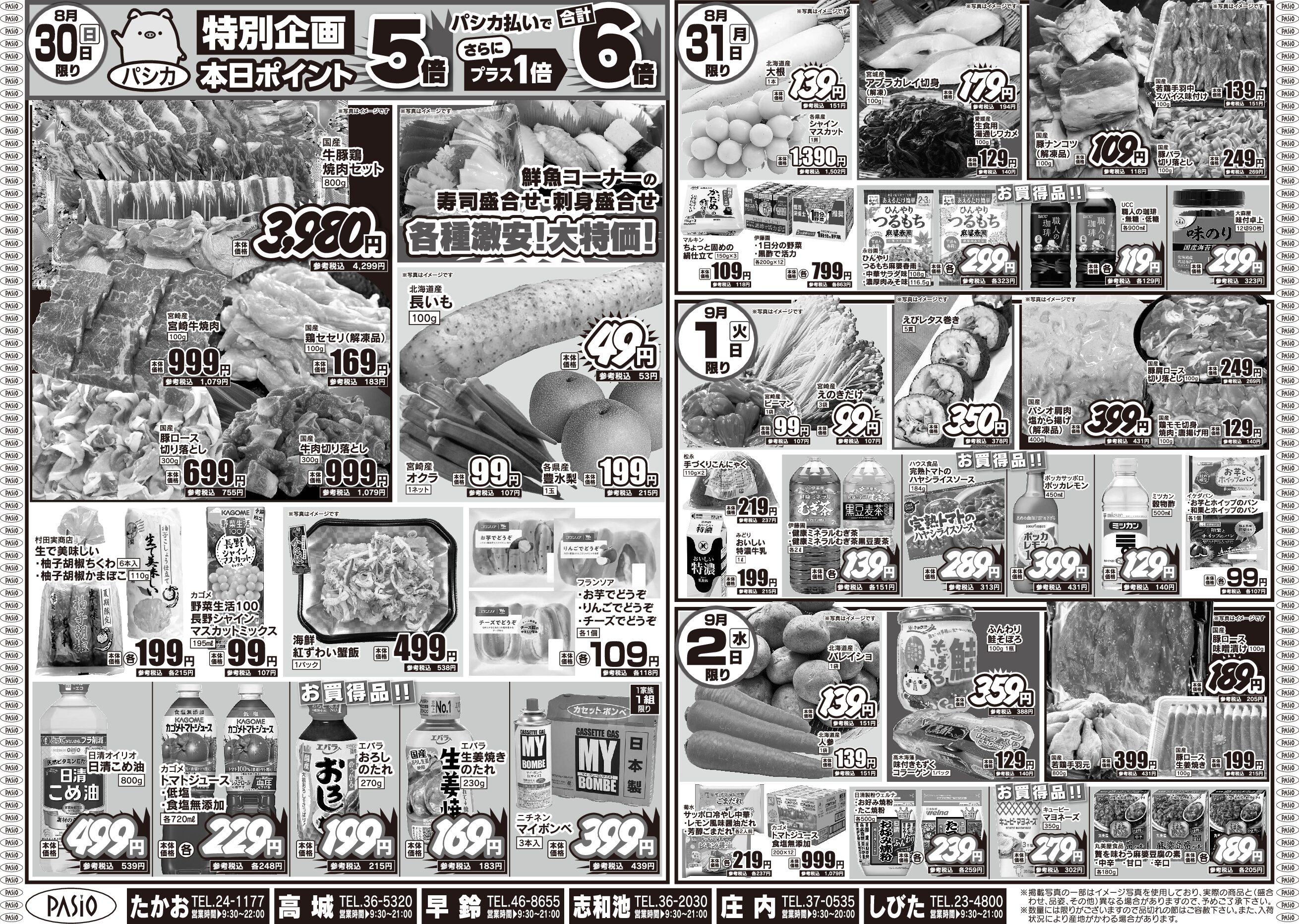 pasio8 27u pdf