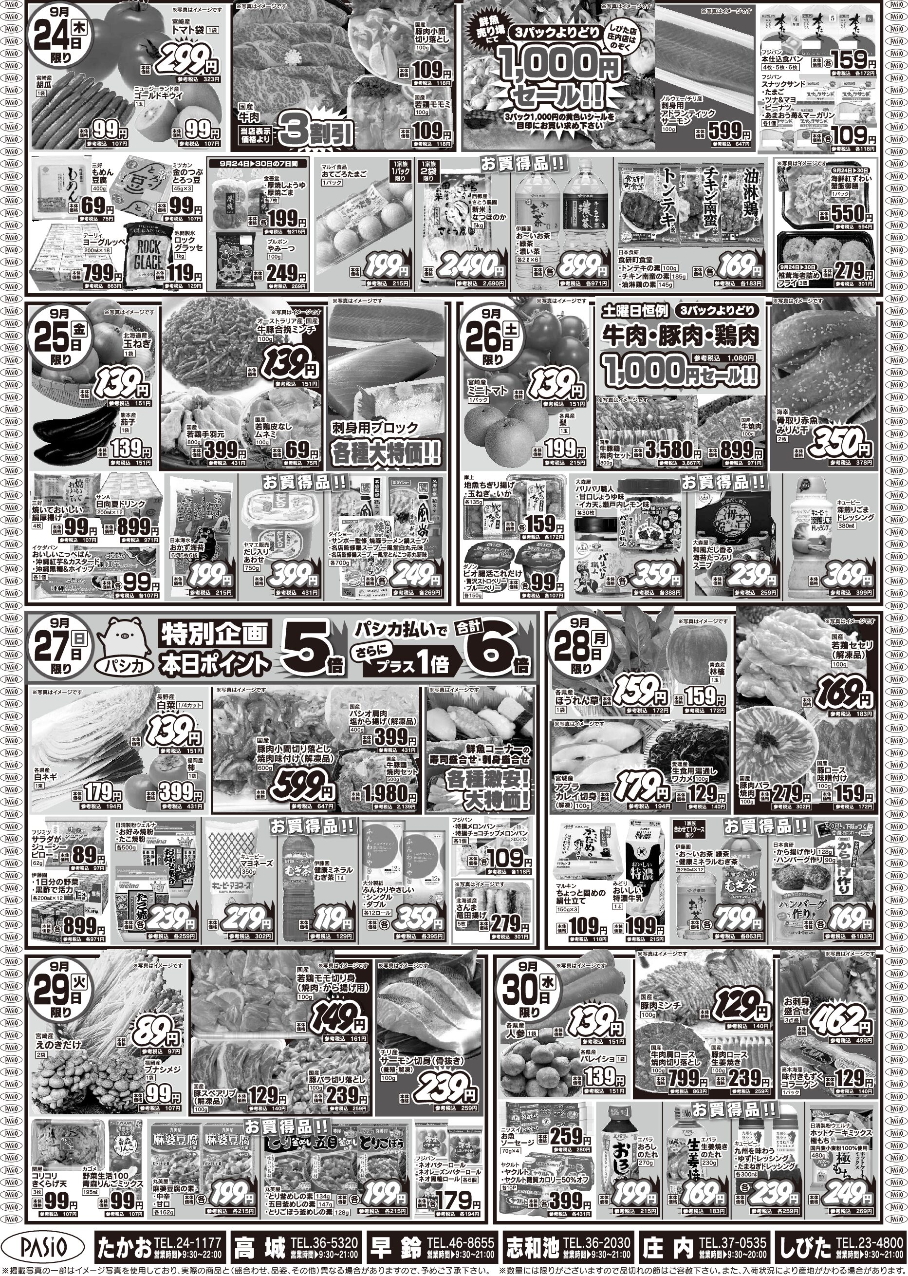 pasio9 24u pdf